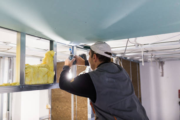 Best Attic Insulation Installation  in Lakesite, TN